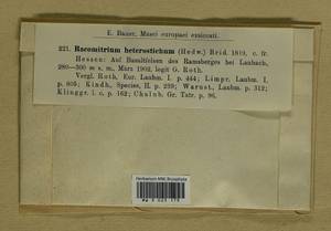 Bucklandiella heterosticha (Hedw.) Bedn.-Ochyra & Ochyra, Гербарий мохообразных, Мхи - Западная Европа (BEu) (Германия)