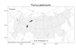 Thymus glabricaulis, Чабрец голостебельный Klokov, Атлас флоры России (FLORUS) (Россия)