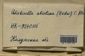 Abietinella abietina (Hedw.) M. Fleisch., Гербарий мохообразных, Мхи - Центральное Нечерноземье (B6) (Россия)