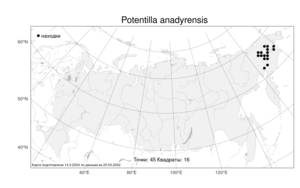 Potentilla anadyrensis, Лапчатка анадырская Juz., Атлас флоры России (FLORUS) (Россия)