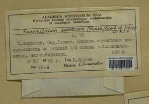 Bucklandiella sudetica (Funck) Bedn.-Ochyra & Ochyra, Гербарий мохообразных, Мхи - Западная Европа (BEu) (Норвегия)