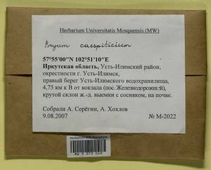 Ptychostomum imbricatulum (Müll. Hal.) Holyoak & N. Pedersen, Гербарий мохообразных, Мхи - Прибайкалье и Забайкалье (B18) (Россия)