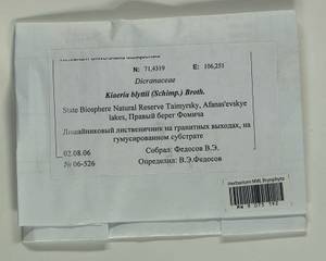 Arctoa blyttii (Bruch & Schimp.) Loeske, Гербарий мохообразных, Мхи - Красноярский край, Тыва и Хакасия (B17) (Россия)