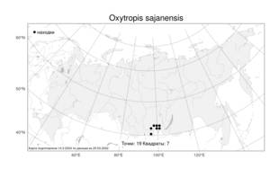 Oxytropis sajanensis, Остролодочник саянский Jurtzev, Атлас флоры России (FLORUS) (Россия)
