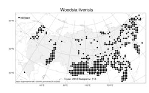 Woodsia ilvensis, Вудсия эльбская (L.) R. Br., Атлас флоры России (FLORUS) (Россия)