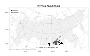 Thymus baicalensis, Тимьян байкальский, Чабрец байкальский Serg., Атлас флоры России (FLORUS) (Россия)