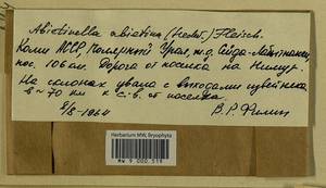 Abietinella abietina (Hedw.) M. Fleisch., Гербарий мохообразных, Мхи - Архангельская и Вологодская области, Коми, Ненецкий АО (B7) (Россия)