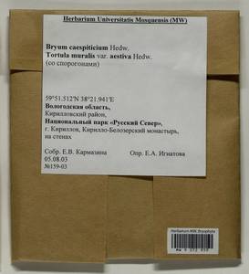 Ptychostomum imbricatulum (Müll. Hal.) Holyoak & N. Pedersen, Гербарий мохообразных, Мхи - Архангельская и Вологодская области, Коми, Ненецкий АО (B7) (Россия)