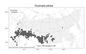Oxytropis pilosa, Остролодочник волосистый (L.) DC., Атлас флоры России (FLORUS) (Россия)