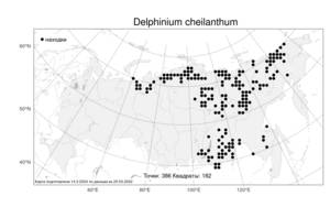 Delphinium cheilanthum, Живокость губоцветковая Fisch. ex DC., Атлас флоры России (FLORUS) (Россия)