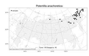 Potentilla anachoretica, Лапчатка анахоретская Soják, Атлас флоры России (FLORUS) (Россия)