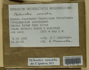 Philonotis seriata Mitt., Гербарий мохообразных, Мхи - Северный Кавказ и Предкавказье (B12) (Россия)