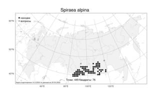 Spiraea alpina, Спирея альпийская, Таволга альпийская Pall., Атлас флоры России (FLORUS) (Россия)