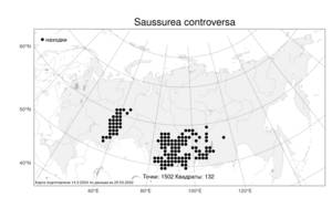 Saussurea controversa, Соссюрея спорная DC., Атлас флоры России (FLORUS) (Россия)