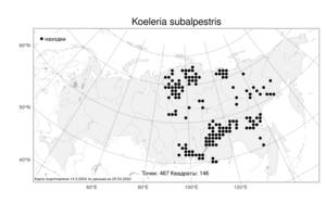 Koeleria subalpestris (Hartm.) Barberá, Quintanar, Soreng & P.M.Peterson, Атлас флоры России (FLORUS) (Россия)