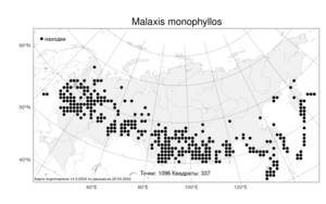 Malaxis monophyllos, Мякотница однолистная (L.) Sw., Атлас флоры России (FLORUS) (Россия)