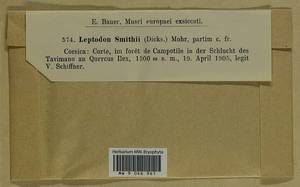 Leptodon smithii (Dicks. ex Hedw.) F. Weber & D. Mohr, Гербарий мохообразных, Мхи - Западная Европа (BEu) (Франция)