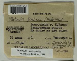 Philonotis seriata Mitt., Гербарий мохообразных, Мхи - Пермский край, Удмуртия, Свердловская и Кировская области (B8) (Россия)