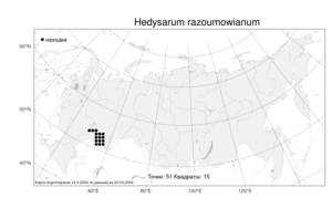 Hedysarum razoumowianum, Копеечник Разумовского Helm & Fisch. ex DC., Атлас флоры России (FLORUS) (Россия)