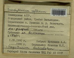 Plagiothecium denticulatum (Hedw.) Schimp., Гербарий мохообразных, Мхи - Башкортостан, Челябинская и Оренбургская области (B14) (Россия)