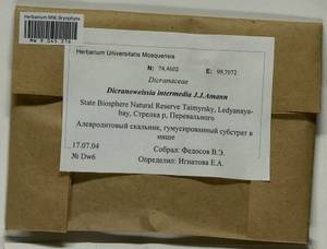 Hymenoloma mulahaceni (Höhn.) Ochyra, Гербарий мохообразных, Мхи - Красноярский край, Тыва и Хакасия (B17) (Россия)
