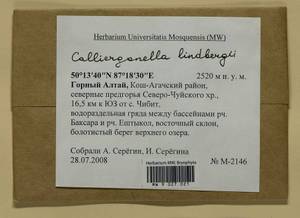 Calliergonella lindbergii (Mitt.) Hedenäs, Гербарий мохообразных, Мхи - Западная Сибирь (включая Алтай) (B15) (Россия)