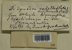 Bryoerythrophyllum recurvirostrum (Hedw.) P.C. Chen, Гербарий мохообразных, Мхи - Архангельская и Вологодская области, Коми, Ненецкий АО (B7) (Россия)