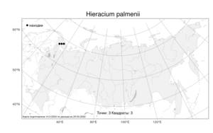 Hieracium palmenii, Яcтребинка Пальмена Norrl., Атлас флоры России (FLORUS) (Россия)