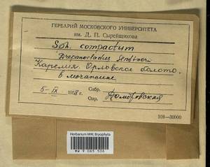 Drepanocladus sendtneri (Schimp. ex H. Müll.) Warnst., Гербарий мохообразных, Мхи - Карелия, Ленинградская и Мурманская области (B4) (Россия)