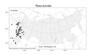 Rosa dumalis, Шиповник рощевой, Шиповник кустарниковый Bechst., Атлас флоры России (FLORUS) (Россия)