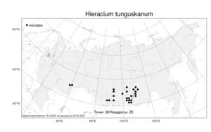Hieracium tunguskanum, Ястребинка тунгусская Ganesch. & Zahn, Атлас флоры России (FLORUS) (Россия)