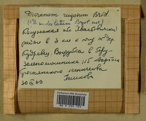 Dicranum polysetum Sw., Гербарий мохообразных, Мхи - Центральное Нечерноземье (B6) (Россия)