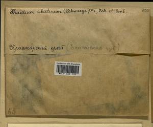Abietinella abietina (Hedw.) M. Fleisch., Гербарий мохообразных, Мхи - Красноярский край, Тыва и Хакасия (B17) (Россия)