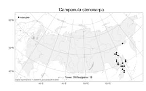Campanula stenocarpa, Колокольчик узкоплодный Trautv. & C.A.Mey., Атлас флоры России (FLORUS) (Россия)