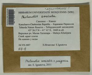 Philonotis seriata Mitt., Гербарий мохообразных, Мхи - Северный Кавказ и Предкавказье (B12) (Россия)