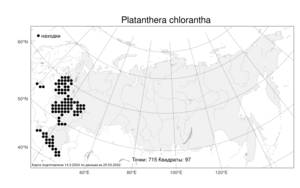 Platanthera chlorantha, Любка зеленоцветковая (Custer) Rchb., Атлас флоры России (FLORUS) (Россия)