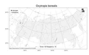 Oxytropis borealis, Остролодочник северный DC., Атлас флоры России (FLORUS) (Россия)