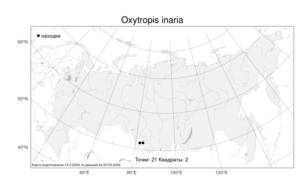 Oxytropis inaria, Остролодочник линейнолистный (Pall.) DC., Атлас флоры России (FLORUS) (Россия)