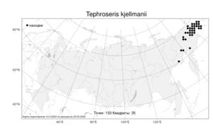 Tephroseris kjellmanii, Пепельник Чьельмана (A. E. Porsild) Holub, Атлас флоры России (FLORUS) (Россия)