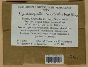 Rhynchostegiella curviseta (Brid.) Limpr., Гербарий мохообразных, Мхи - Северный Кавказ и Предкавказье (B12) (Россия)