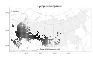 Lycopus europaeus, Зюзник европейский L., Атлас флоры России (FLORUS) (Россия)