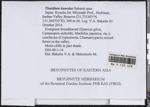 Thuidium kanedae Sakurai, Гербарий мохообразных, Мхи - Азия (вне границ бывшего СССР) (BAs) (Япония)