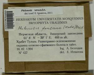 Philonotis seriata Mitt., Гербарий мохообразных, Мхи - Пермский край, Удмуртия, Свердловская и Кировская области (B8) (Россия)