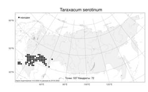 Taraxacum serotinum, Одуванчик поздний (Waldst. & Kit.) Poir., Атлас флоры России (FLORUS) (Россия)
