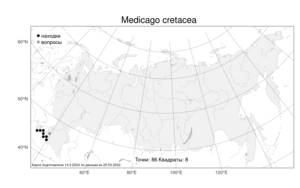 Medicago cretacea, Люцерна меловая M.Bieb., Атлас флоры России (FLORUS) (Россия)