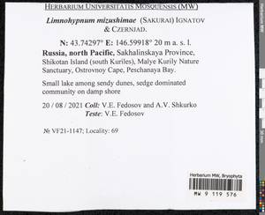 Limnohypnum mizushimae (Sakurai) Ignatov & Czernjad., Гербарий мохообразных, Мхи - Дальний Восток (без Чукотки и Камчатки) (B20) (Россия)