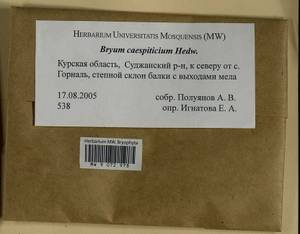 Ptychostomum imbricatulum (Müll. Hal.) Holyoak & N. Pedersen, Гербарий мохообразных, Мхи - Центральное Черноземье (B10) (Россия)