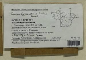 Funaria hygrometrica Hedw., Гербарий мохообразных, Мхи - Центральное Нечерноземье (B6) (Россия)