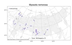 Myosotis nemorosa, Незабудка дубравная Besser, Атлас флоры России (FLORUS) (Россия)