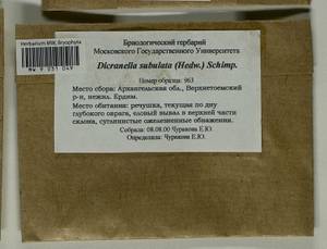 Dicranellopsis subulata (Hedw.) Bonfim Santos, Siebel & Fedosov, Гербарий мохообразных, Мхи - Архангельская и Вологодская области, Коми, Ненецкий АО (B7) (Россия)